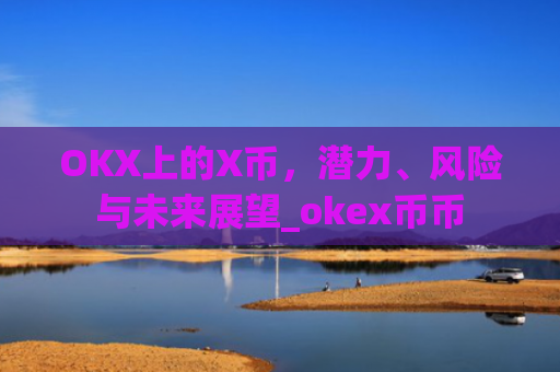 OKX上的X币,潜力、风险与未来展望_okex币币