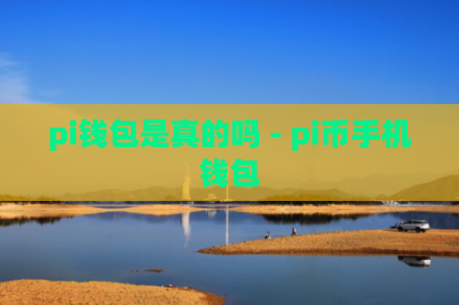 pi钱包是真的吗 - pi币手机钱包