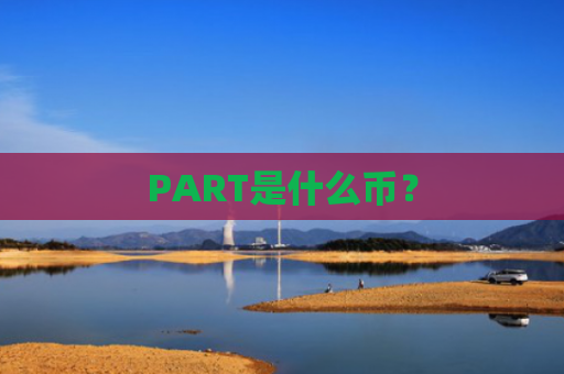 PART是什么币？