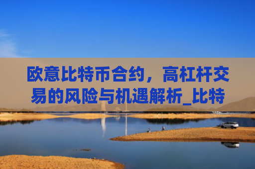 欧意比特币合约,高杠杆交易的风险与机遇解析_比特币欧元交易所