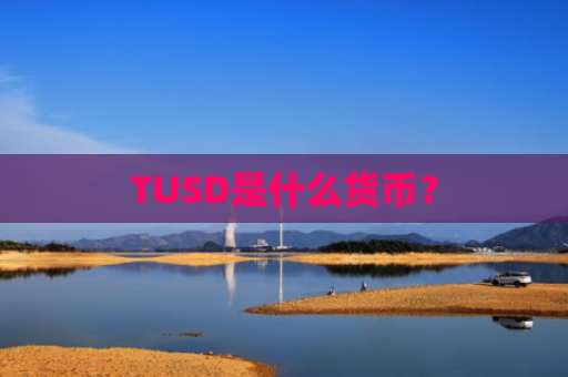 TUSD是什么货币？