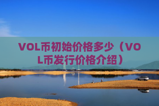 VOL币初始价格多少（VOL币发行价格介绍）