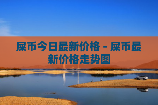 屎币今日最新价格 - 屎币最新价格走势图
