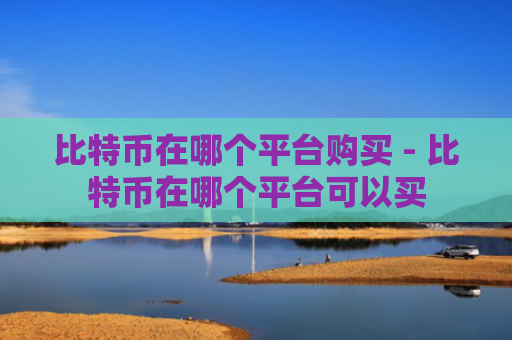 比特币在哪个平台购买 - 比特币在哪个平台可以买