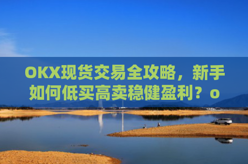 OKX现货交易全攻略,新手如何低买高卖稳健盈利?okex平台怎么买卖