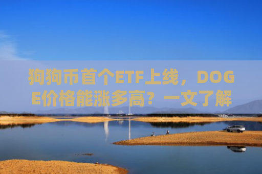 狗狗币首个ETF上线，DOGE价格能涨多高？一文了解