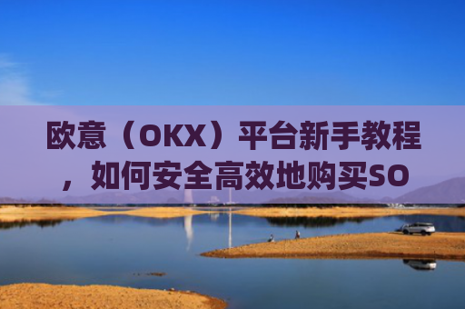 欧意（OKX）平台新手教程，如何安全高效地购买SOL币_