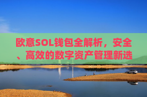 欧意SOL钱包全解析，安全、高效的数字资产管理新选择_oex钱包是什么
