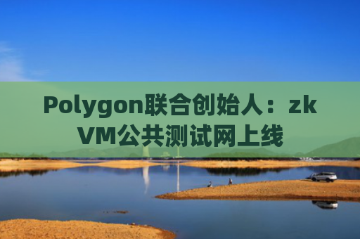 Polygon联合创始人：zkVM公共测试网上线