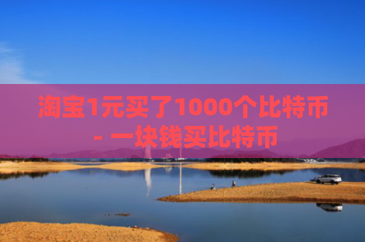 淘宝1元买了1000个比特币 - 一块钱买比特币