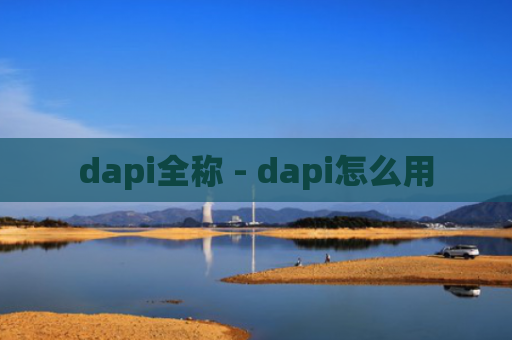 dapi全称 - dapi怎么用