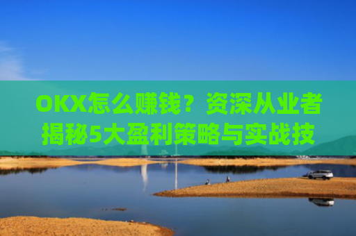 OKX怎么赚钱?资深从业者揭秘5大盈利策略与实战技巧_ok平台怎么赚钱