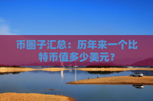 币圈子汇总：历年来一个比特币值多少美元？