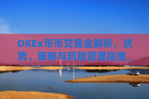 OKEx币币交易全解析，优势、策略与风险管理指南_okex币币交易教程详解