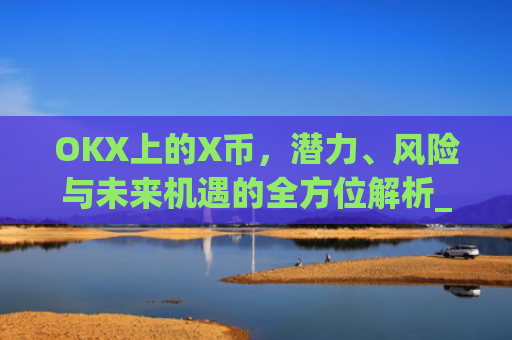 OKX上的X币，潜力、风险与未来机遇的全方位解析_ok 币