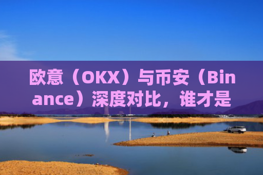 欧意（OKX）与币安（Binance）深度对比，谁才是加密货币交易者的最佳选择？