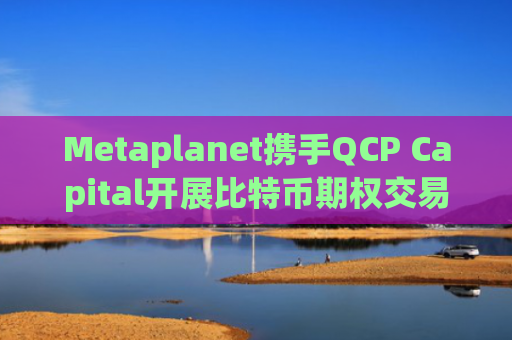 Metaplanet携手QCP Capital开展比特币期权交易 提升数字资产配置效率