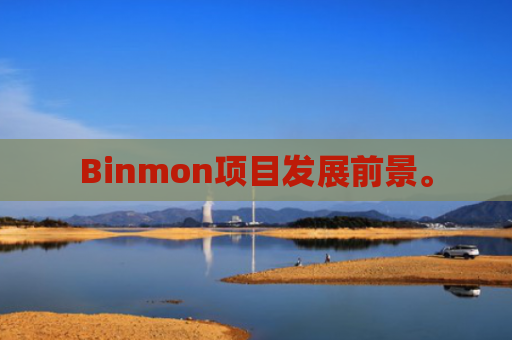 Binmon项目发展前景。