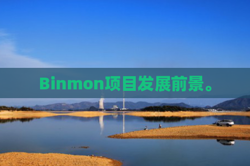 Binmon项目发展前景。