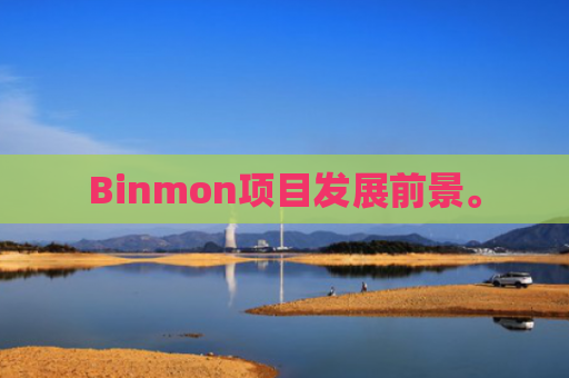 Binmon项目发展前景。