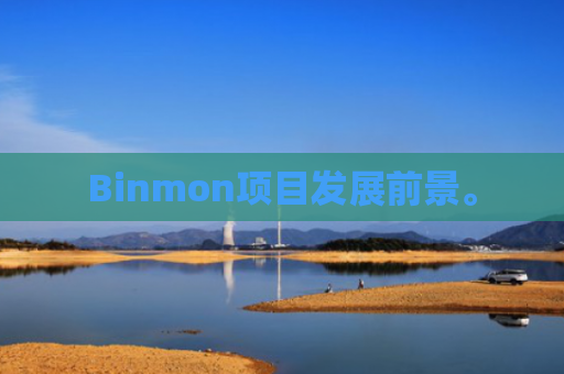 Binmon项目发展前景。