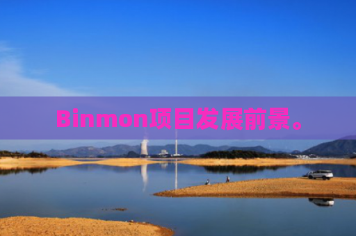 Binmon项目发展前景。