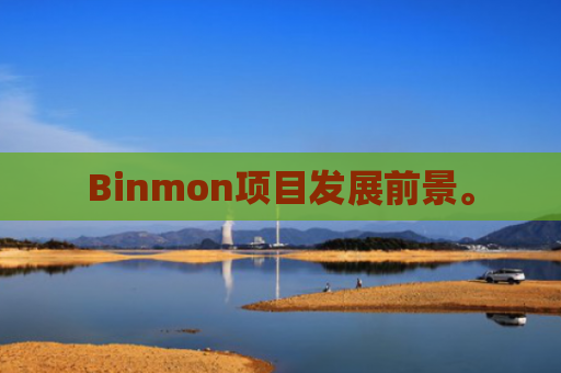 Binmon项目发展前景。