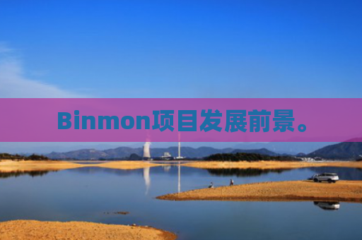 Binmon项目发展前景。