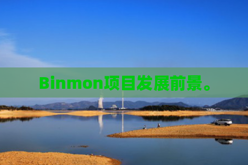Binmon项目发展前景。