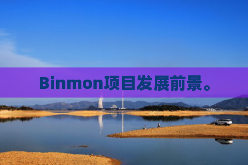 Binmon项目发展前景。