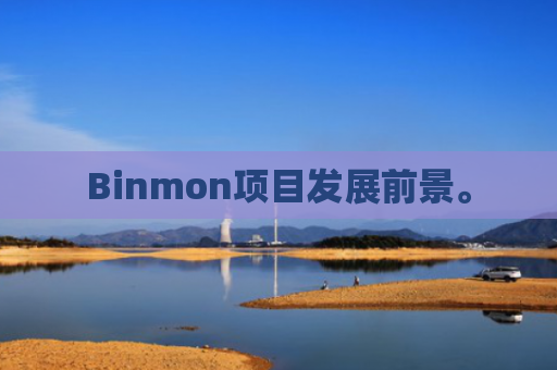 Binmon项目发展前景。