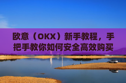 欧意(OKX)新手教程,手把手教你如何安全高效购买数字货币_