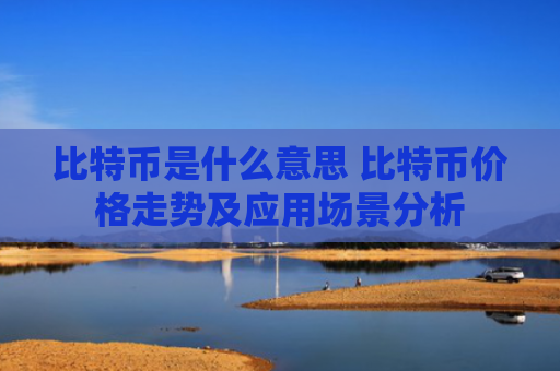 比特币是什么意思 比特币价格走势及应用场景分析