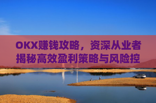 OKX赚钱攻略，资深从业者揭秘高效盈利策略与风险控制_okx赚钱图片