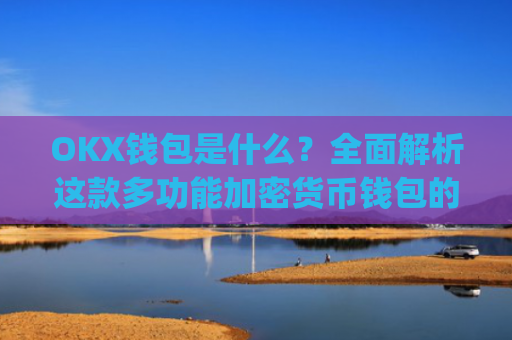 OKX钱包是什么？全面解析这款多功能加密货币钱包的优缺点_okx钱包是什么链