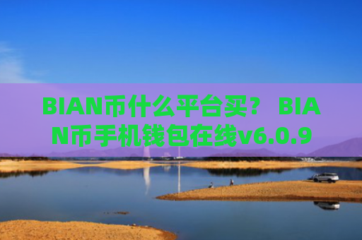 BIAN币什么平台买？ BIAN币手机钱包在线v6.0.9
