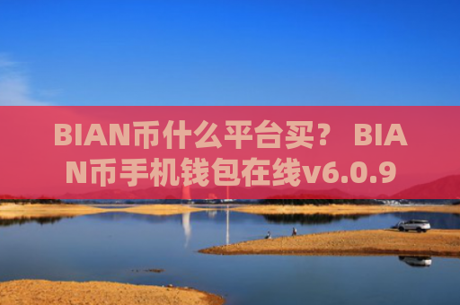 BIAN币什么平台买？ BIAN币手机钱包在线v6.0.9