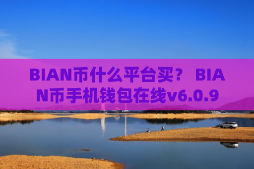 BIAN币什么平台买？ BIAN币手机钱包在线v6.0.9