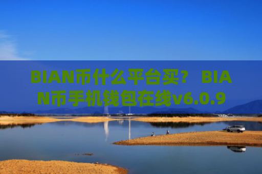 BIAN币什么平台买？ BIAN币手机钱包在线v6.0.9