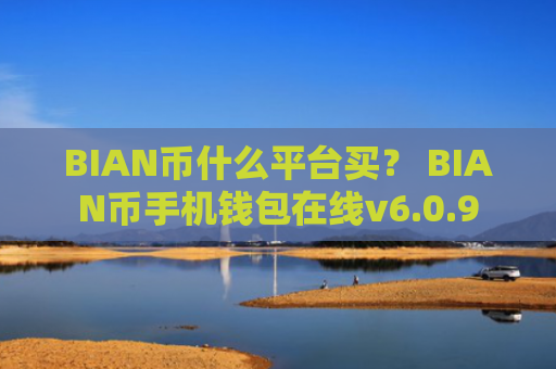 BIAN币什么平台买？ BIAN币手机钱包在线v6.0.9