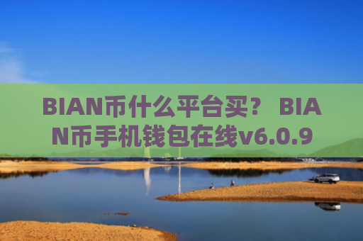 BIAN币什么平台买？ BIAN币手机钱包在线v6.0.9