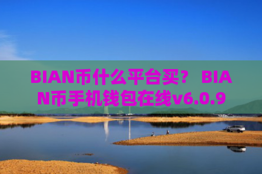 BIAN币什么平台买？ BIAN币手机钱包在线v6.0.9