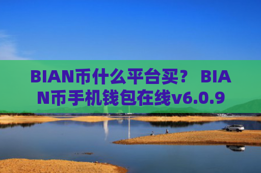 BIAN币什么平台买？ BIAN币手机钱包在线v6.0.9