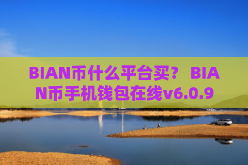 BIAN币什么平台买？ BIAN币手机钱包在线v6.0.9