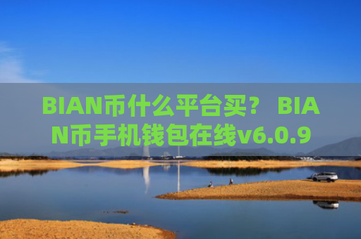 BIAN币什么平台买？ BIAN币手机钱包在线v6.0.9