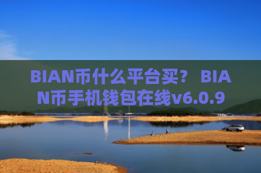 BIAN币什么平台买？ BIAN币手机钱包在线v6.0.9