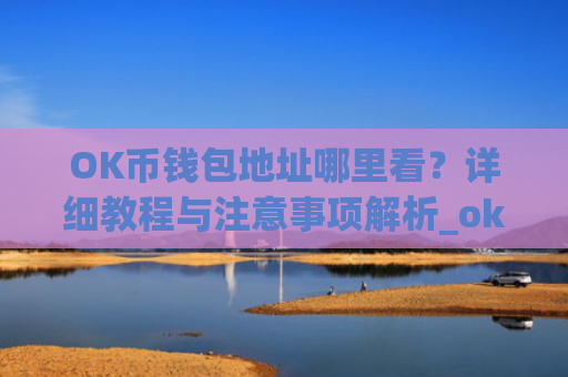 OK币钱包地址哪里看？详细教程与注意事项解析_ok钱包的币怎么交易