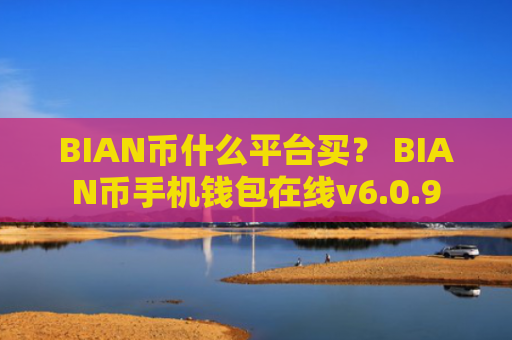 BIAN币什么平台买? BIAN币手机钱包在线v6.0.9