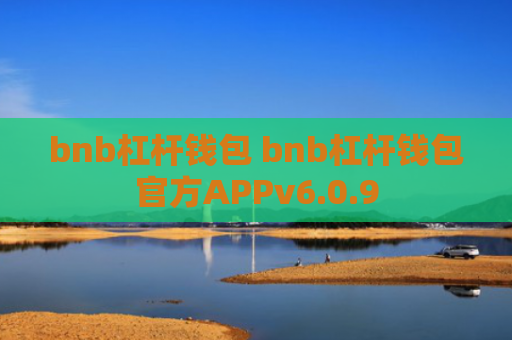 bnb杠杆钱包 bnb杠杆钱包官方APPv6.0.9