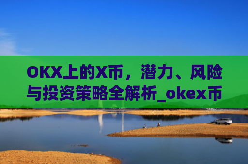 OKX上的X币，潜力、风险与投资策略全解析_okex币币